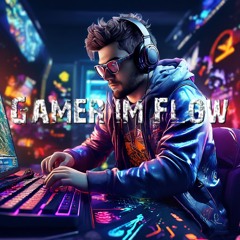 Gamer Im Flow