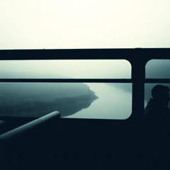 You flew north