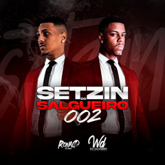 SETZIN DO SALGUEIRO 002 - DJS RONALD DA TIJUCA & WD DO SALGUEIRO