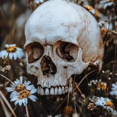 Momento Mori
