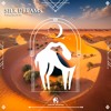 Volobotti - Silk Dreams (Cafe De Anatolia)