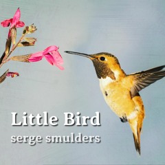 Little Bird
