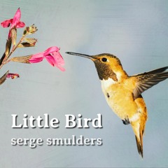 Little Bird