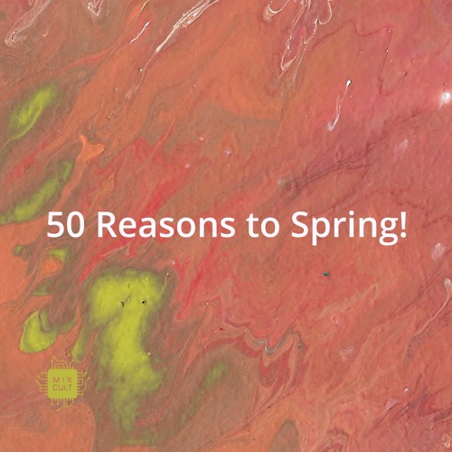 Prctr - Mezo [MCD50RTS] •preview•