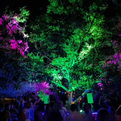 [Solar] Hybrid Live Set @ Parc des Troglodytes 21-06-25 21h30