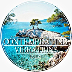 Contemplating Vibrations [#08] Paranoid SouL