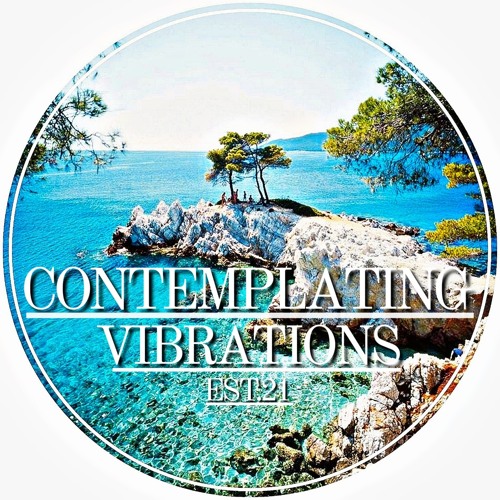 Contemplating Vibrations [#08] Paranoid SouL