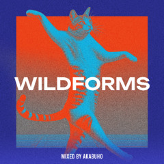 WILDFORMS #3 Mixed By akaBúho
