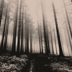 Modestep - Exile (Breakcore remix)