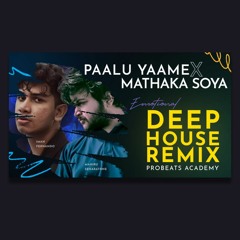 Paalu Yaame X Mathaka Soya | Emotional Deep House Remix | Probeats Academy
