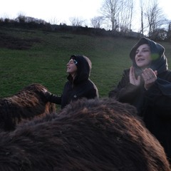 Svatba (Mystère des voix bulgares)