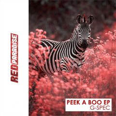 G-Spec - Peek A Boo (Original Mix)