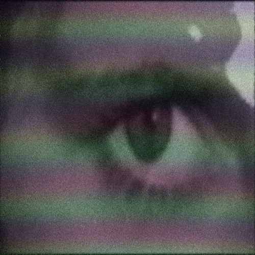 Dye Moon Pog Dark