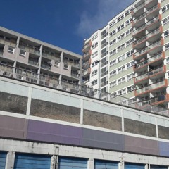 Concrete Jungle