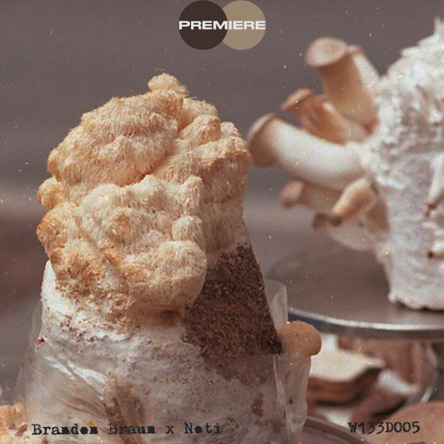 CV Premiere I Brandon Braun - Memories