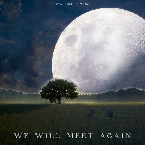 We Will Meet Again