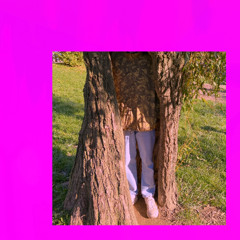 Noods Radio Shows
