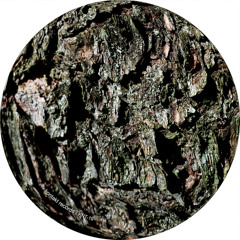 Skagerak (Shed's Well Equalized Mix)