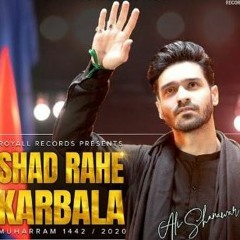 Shad Rahe Karbala Ali Shanawar 2020