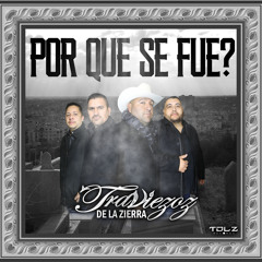 Por Que Se Fue?