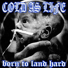 Little from the World