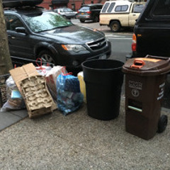 New Composting Fines in New York - Oona Milliken