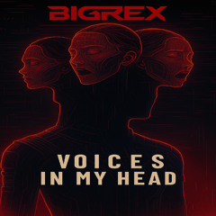 Voices in My Head - BigRex mashup