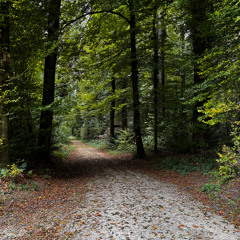 Test - 2025-11-11 01.59.25