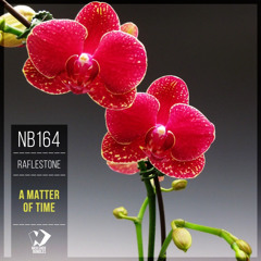 RafleSTone - The First Time (Original Mix)