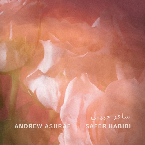 Safer Habibi