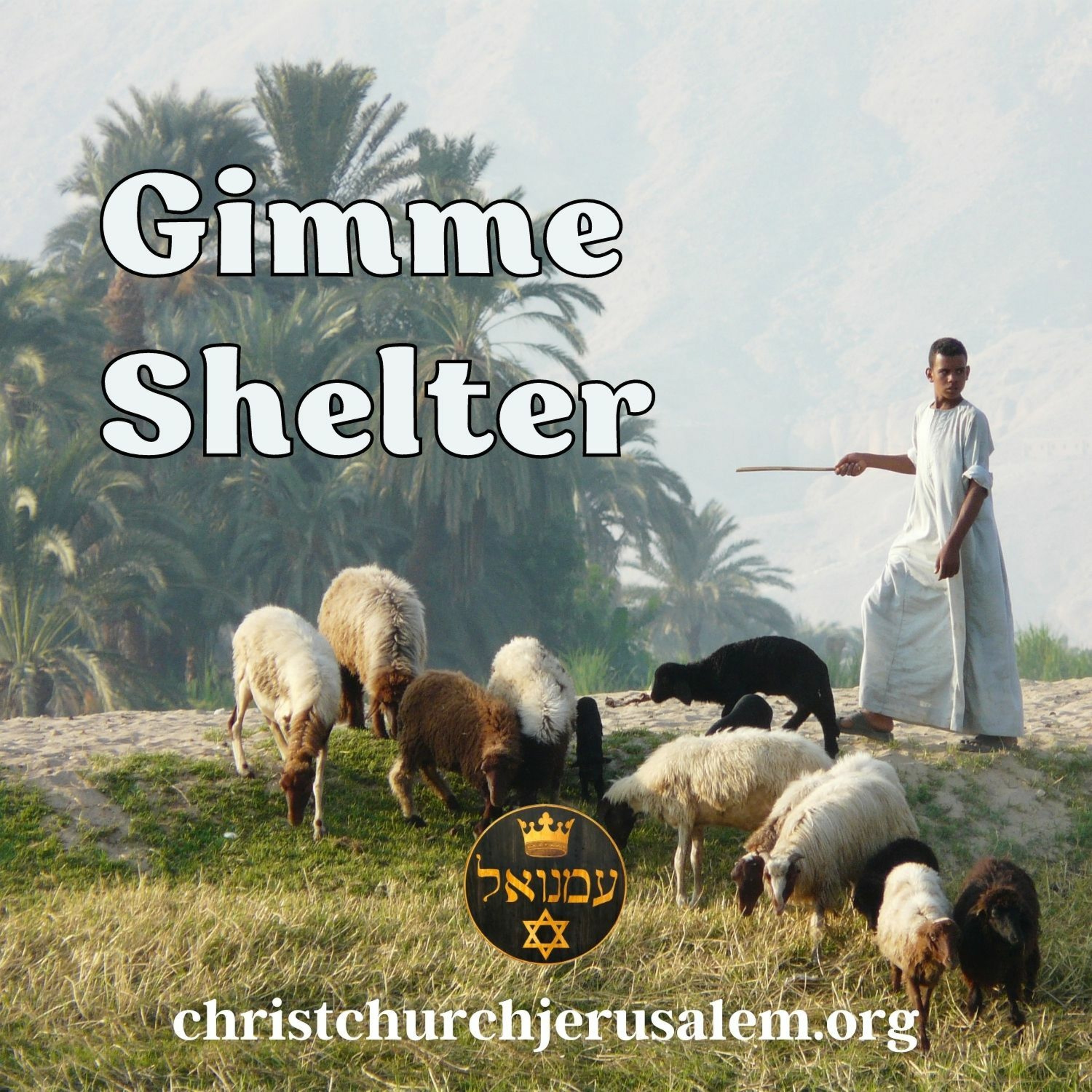 Gimme Shelter | Rev. David Pileggi episode artwork