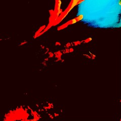 Selected | 16