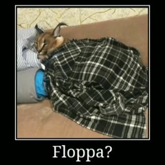 POV: Sleep with Floppa