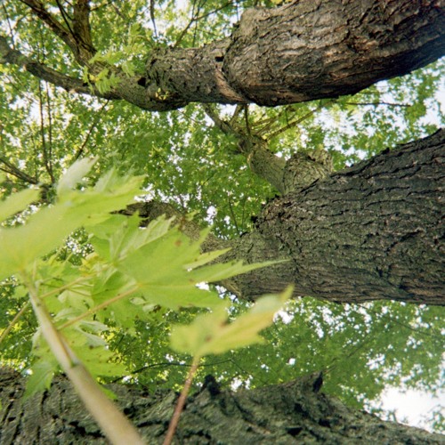 Axis Transition - Demo