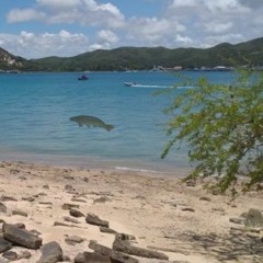 Le Fishe Au The Beach [Sold]