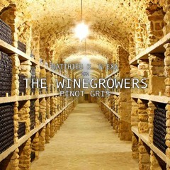 The Winegrowers - Pinot Gris