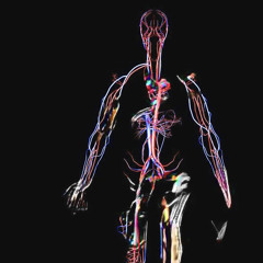 the nights ft. liljaymadethat! (prod. mack)