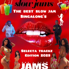 THE BEST OF SLOW JAM SINGALONGS 2025 mix