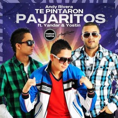96. Andy Rivera Ft Yandar y Yostin - Te Pintaron Pajaritos (Intro Discotek Acapella)