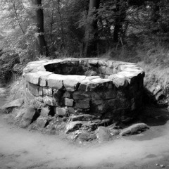 Timmy’s In The Well
