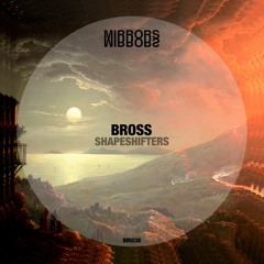 Premiere: Bross - Shapeshifters [Mirrors]