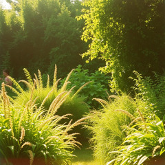 Sofia Romano - New Arrivals