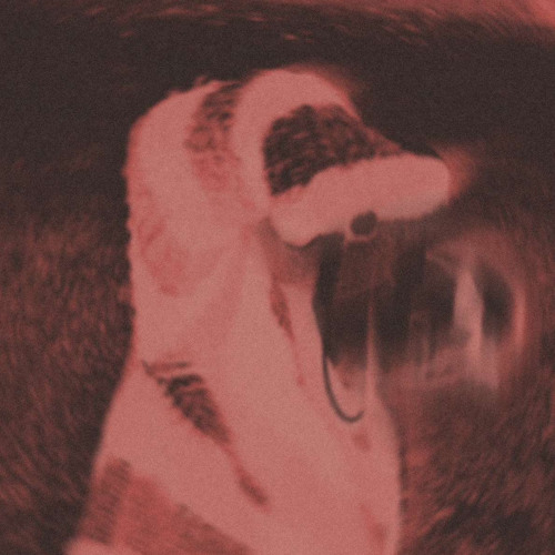 RED VISION (prod. FiveOeight)