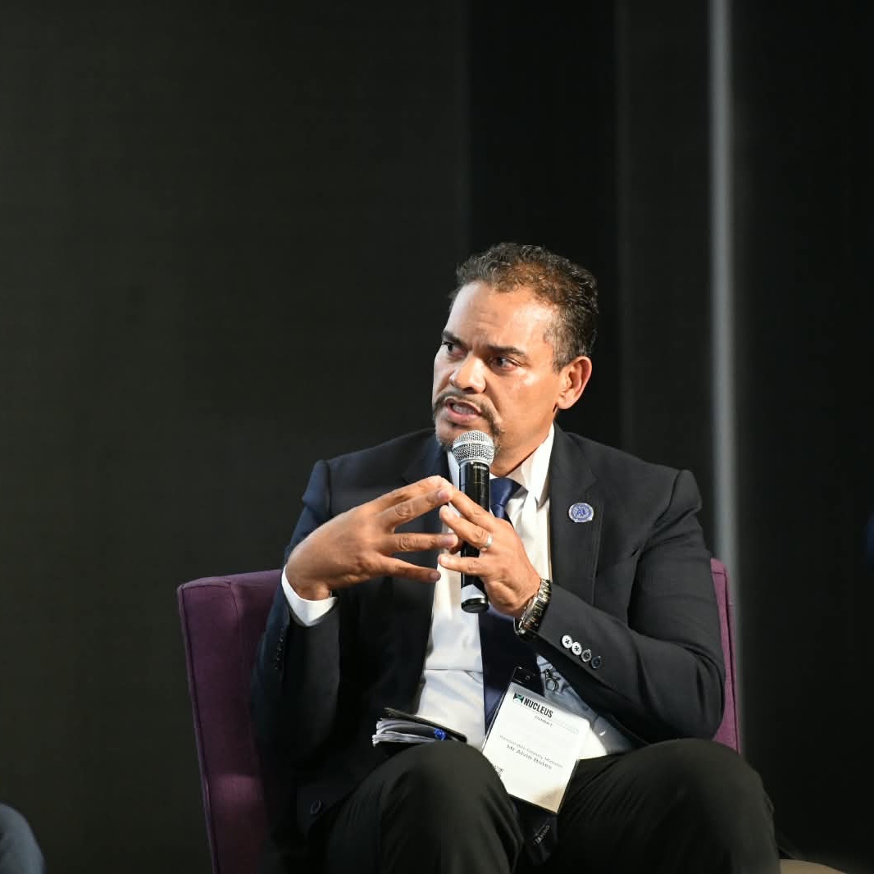 Deputy Minister Alvin Botes Commentary During a Panel Discussion episode artwork