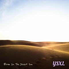 Bloom In The Desert Sun