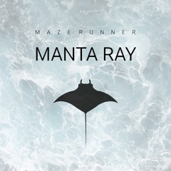 Maze Runner - Manta Ray (Original Mix) [EndZeit] (Preview)