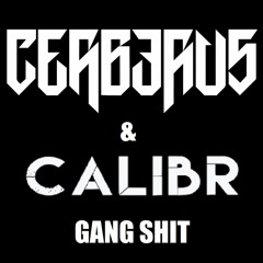 CERBERUS & CALIBR - Gang Shit