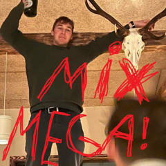 VICTORS DANSK MEGAMIX ANNO 2024