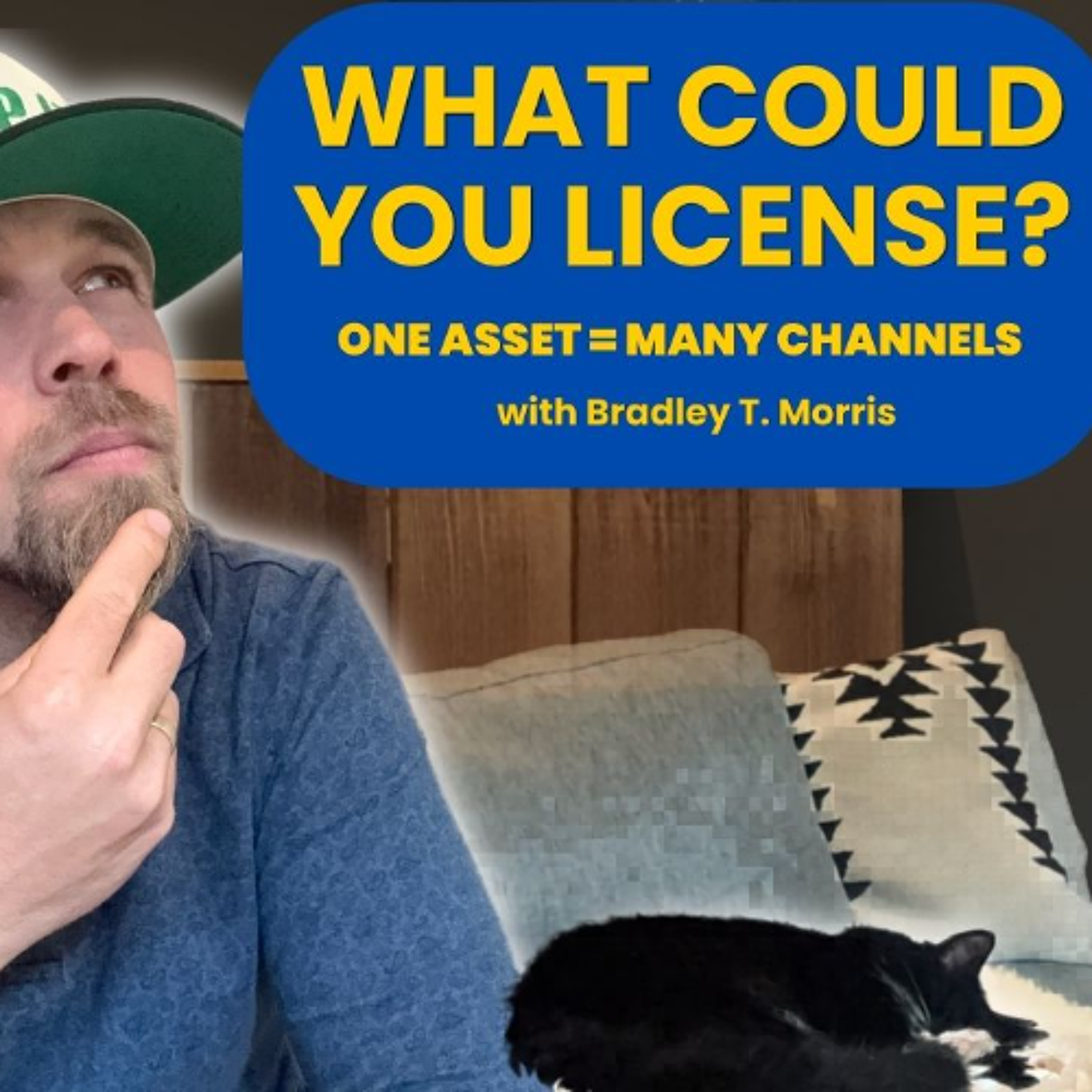 What Could You License_ How Creators Turn Their Knowledge, Content & IP Into New Revenue Streams episode artwork