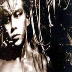 Old Boss DR-5 "老Boss DR-5"